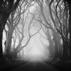 Ireland Photography Art Print