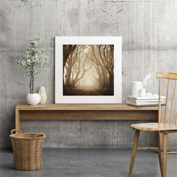 The Dark Hedges