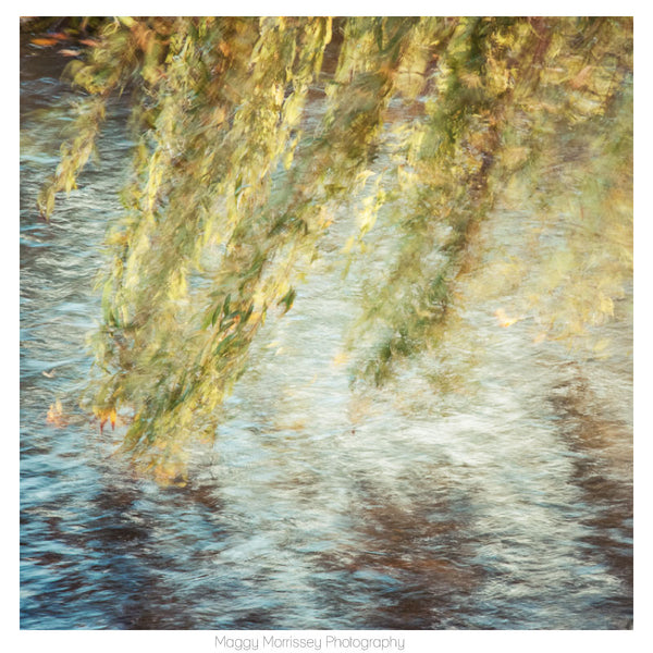 'Willow' Abstract Art Print Photography