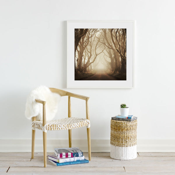 The Dark Hedges