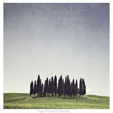 'The Glade' Tuscany Wall Art Print