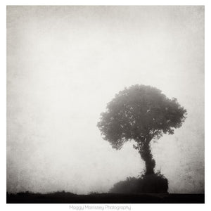 'The Solitary Tree' Wall Art Prints